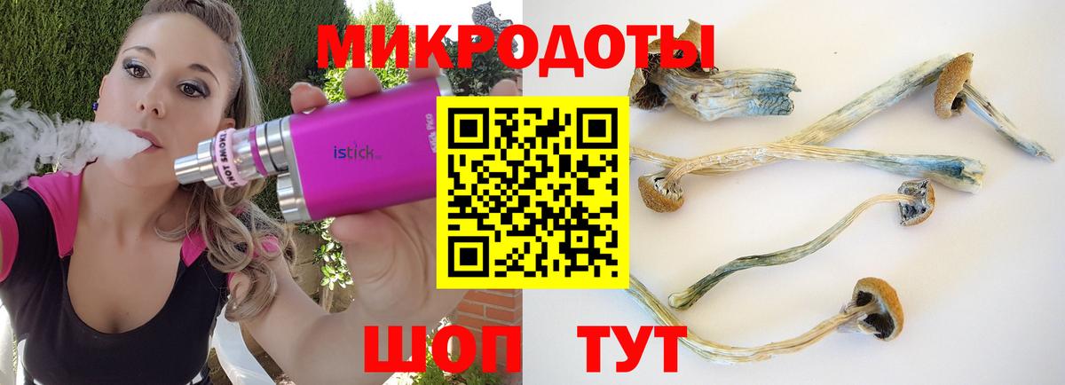 Псилоцибиновые грибы Magic Shrooms Воркута