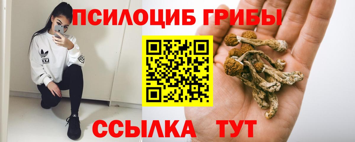 где купить наркоту  Галлюциногенные грибы прущие грибы  Вход с VPN  Воркута 
